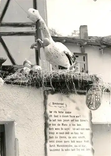 AK / Ansichtskarte Storch Storchennest Baby  Kat. Tiere