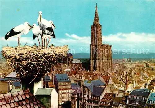 AK / Ansichtskarte Storch Strasbourg Nid de Cigognes  Kat. Tiere