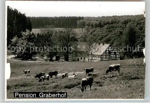 AK / Ansichtskarte Hoheleye Pension Graberhof Kat. Winterberg