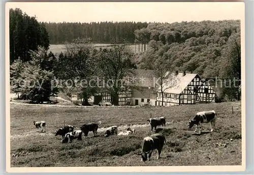 AK / Ansichtskarte Hoheleye Gasthaus Fachwerk Kat. Winterberg