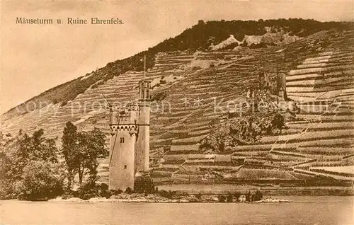 AK / Ansichtskarte Bingen Rhein Maeuseturm Ruine Ehrenfels Kat. Bingen am Rhein