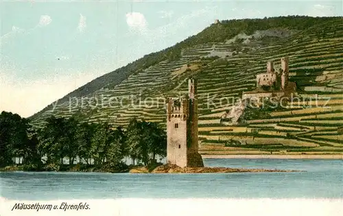 AK / Ansichtskarte Bingen Rhein Maeuseturm Burgruine Ehrenfels Kat. Bingen am Rhein