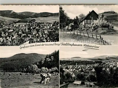 AK / Ansichtskarte Siedlinghausen Panorama Dorfmotiv Viehweide Kat. Winterberg