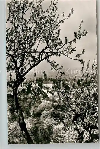 AK / Ansichtskarte Weinheim Bergstrasse Panorama Kat. Weinheim