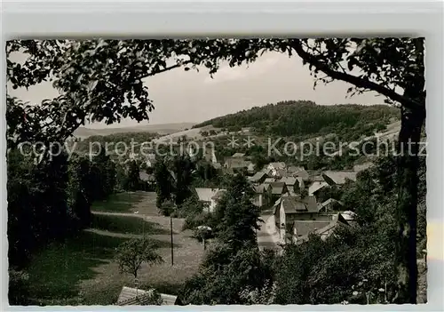 AK / Ansichtskarte Weiher Odenwald Panorama