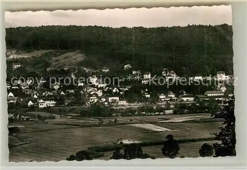 AK / Ansichtskarte Bad Koenig Odenwald Panorama Kat. Bad Koenig