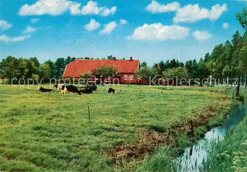 AK / Ansichtskarte Friesland Emden Landhaus  Kat. Emden