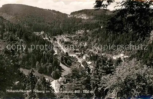 AK / Ansichtskarte Triberg Schwarzwald Panorama Kat. Triberg im Schwarzwald