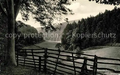 AK / Ansichtskarte Holzminden Weser Holzmindetal Kat. Holzminden