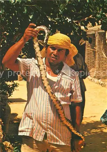 AK / Ansichtskarte Schlangen Tiere Tozeur Charmeur de Serpents  Kat. Tiere