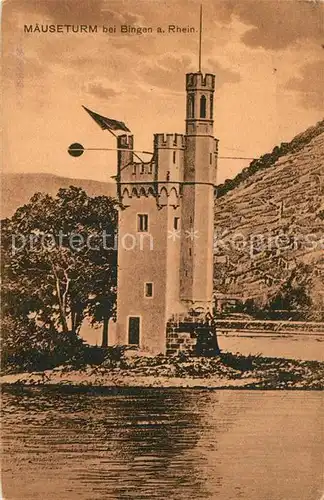 AK / Ansichtskarte Bingen Rhein Maeuseturm Kat. Bingen am Rhein