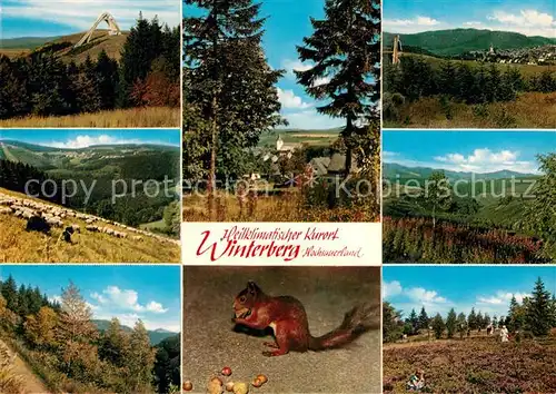 AK / Ansichtskarte Winterberg Hochsauerland Sprungschanze Panorama Teilansicht Eichhoernchen Kat. Winterberg