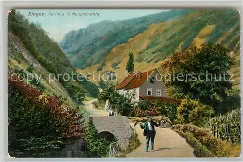 AK / Ansichtskarte Bingen Rhein Partie am Morgenbachtal Kat. Bingen am Rhein