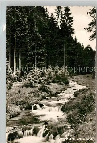 AK / Ansichtskarte Mollseifen Naturfreundehaus  Kat. Winterberg