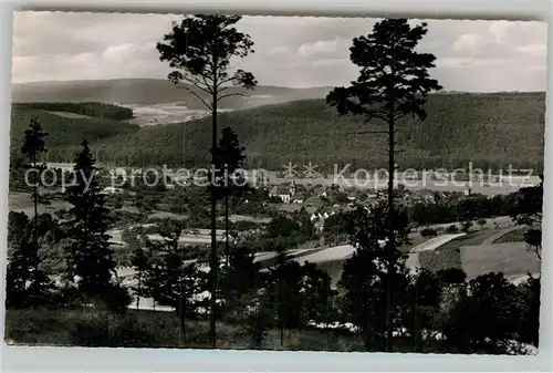 AK / Ansichtskarte Bad Koenig Odenwald Panorama Kat. Bad Koenig