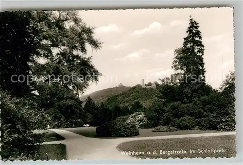 AK / Ansichtskarte Weinheim Bergstrasse Schlosspark Kat. Weinheim