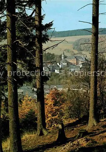 AK / Ansichtskarte Bad Berleburg Durchblick vom Waldrand auf das Schloss Kat. Bad Berleburg