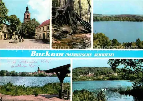 AK / Ansichtskarte Buckow Maerkische Schweiz Partien am See Wald Kirchenpartie Kat. Buckow Maerkische Schweiz