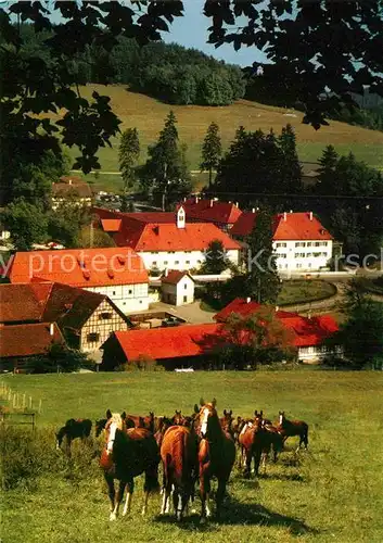 AK / Ansichtskarte Marbach Reutlingen Haupt  und Landgestuet Marbach Gomadingen  Pferde