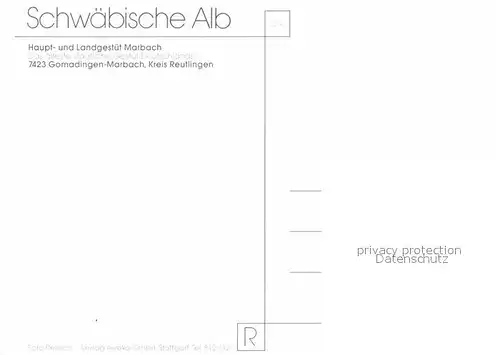 AK / Ansichtskarte Marbach Reutlingen Haupt  und Landgestuet Marbach Gomadingen  Pferde