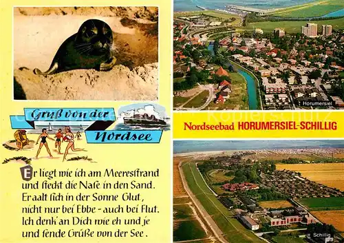 AK / Ansichtskarte Schillig Fliegeraufnahmen Strand Seeloewe Kat. Horumersiel Wangerland