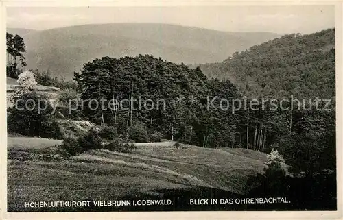 AK / Ansichtskarte Vielbrunn Ohrenbachtal Kat. Michelstadt