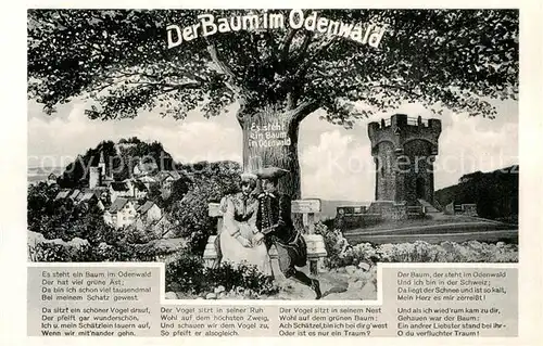 AK / Ansichtskarte Michelstadt Der Baum im Odenwald Kat. Michelstadt