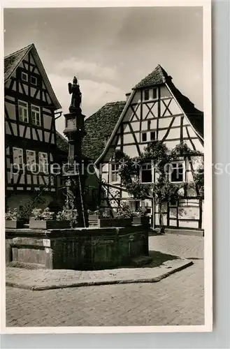 AK / Ansichtskarte Michelstadt Michelsbrunnen Kat. Michelstadt