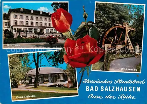 AK / Ansichtskarte Bad Salzhausen Kurhaus Wasserrad Konzerthalle Rosen Kat. Nidda