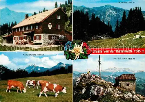 AK / Ansichtskarte Aschau Chiemgau Riesenhuette am Hochries Kuehe Kat. Aschau i.Chiemgau