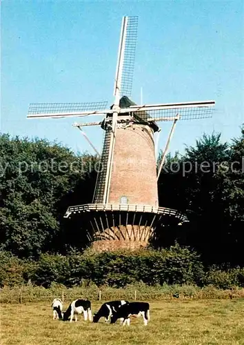 AK / Ansichtskarte Arnhem Rijksmuseum voor Volkskunde Windmuehle Kuehe Kat. Arnhem