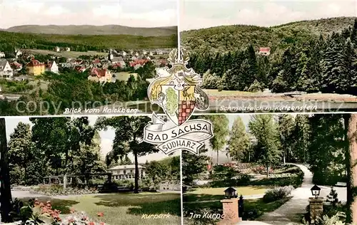 AK / Ansichtskarte Bad Sachsa Harz Schmelzteich Katzenstein Kurpark  Kat. Bad Sachsa