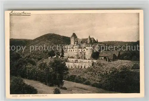 AK / Ansichtskarte Mayen Schloss Buerresheim  Kat. Mayen