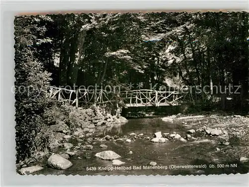 AK / Ansichtskarte Bad Marienberg Bruecke im Wald