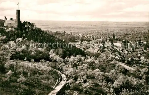 AK / Ansichtskarte Weinheim Bergstrasse Panorama  Kat. Weinheim