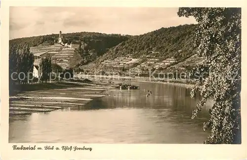 AK / Ansichtskarte Gundelsheim Neckar Schloss Horneck