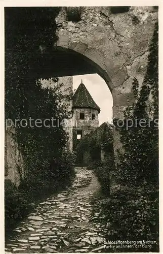 AK / Ansichtskarte Neckarsteinach Burg Hornberg Aufgang Kat. Neckarsteinach