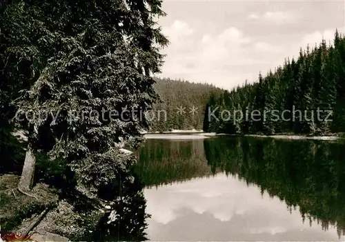 AK / Ansichtskarte Hahnenklee Auerhahn Am Grumbacher See