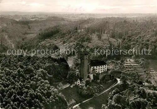 AK / Ansichtskarte Gundelsheim Neckar Fliegeraufnahme Burg Guttenberg