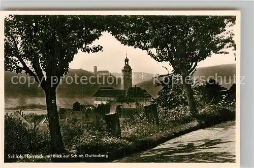 AK / Ansichtskarte Gundelsheim Neckar Schloss Horneck und Schloss Guttenberg 