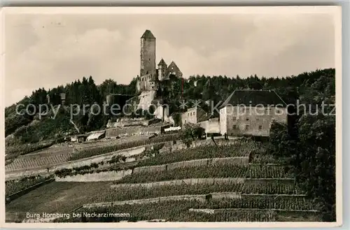 AK / Ansichtskarte Neckarzimmern Burg Hornberg Kat. Neckarzimmern