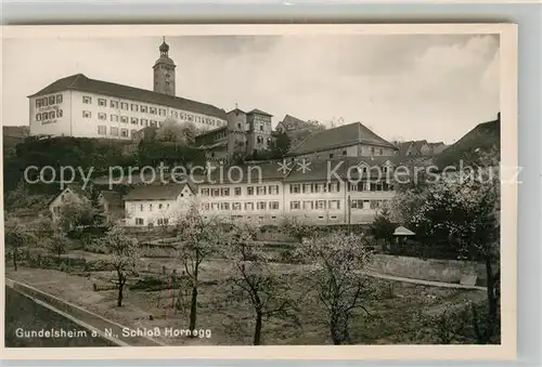 AK / Ansichtskarte Gundelsheim Neckar Schloss Hornegg