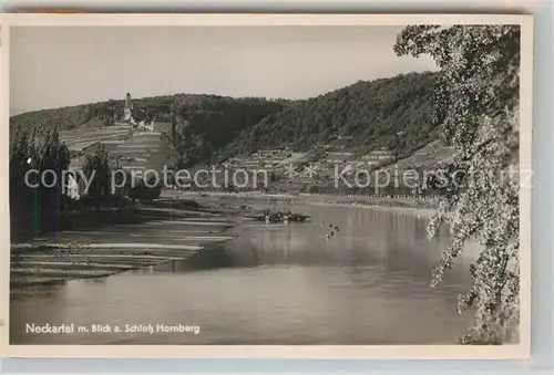 AK / Ansichtskarte Gundelsheim Neckar Blick zum Schloss Hornberg