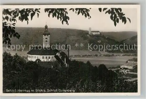 AK / Ansichtskarte Gundelsheim Neckar Schloss Horneck und Schloss Guttenberg 