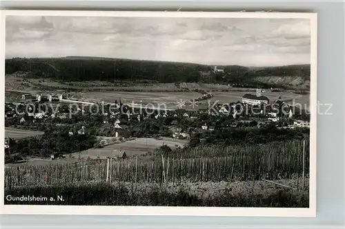 AK / Ansichtskarte Gundelsheim Neckar Panorama Schloss Horneck