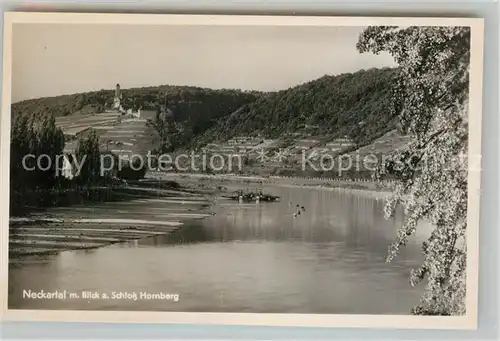 AK / Ansichtskarte Gundelsheim Neckar Blick zur Burg Hornberg