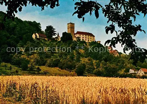 AK / Ansichtskarte Neckarmuehlbach Burg Guttenberg  Kat. Hassmersheim