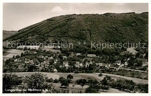 AK / Ansichtskarte Hirschhorn Neckar Panorama  Kat. Hirschhorn (Neckar)