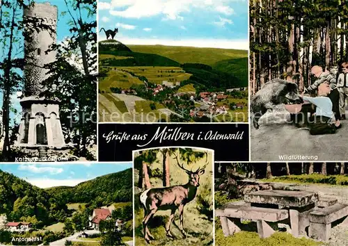 AK / Ansichtskarte Muelben Katzenbuckelturm Antonslust Wildfuetterung Kat. Waldbrunn