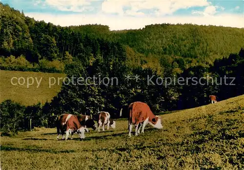 AK / Ansichtskarte Struempfelbrunn Hotel Garni Cafe Nuss Kat. Waldbrunn